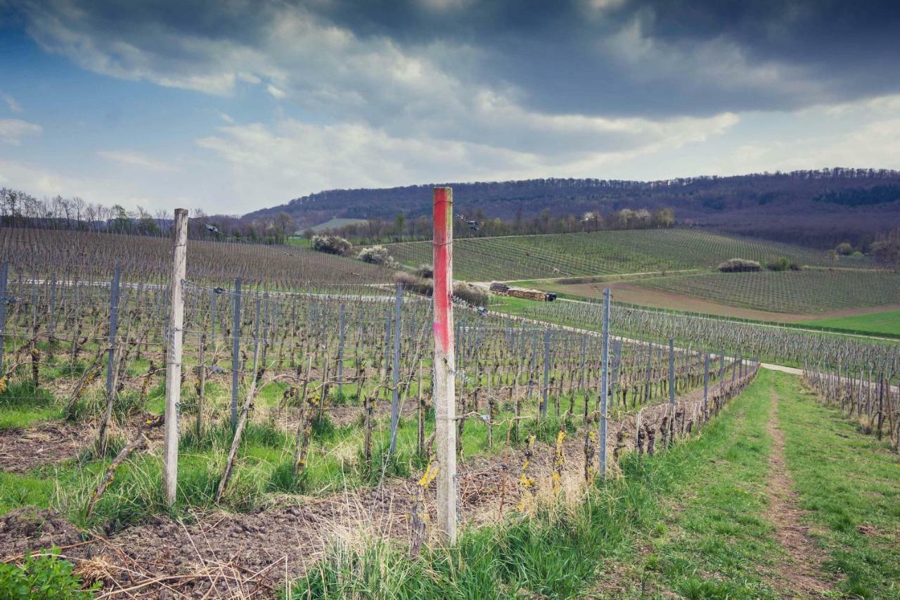 Landhotel Und Weingasthof Schwarzer Adler Wiesenbronn Exteriör bild